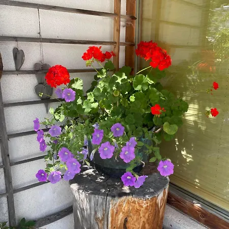 公寓 Haus Priller